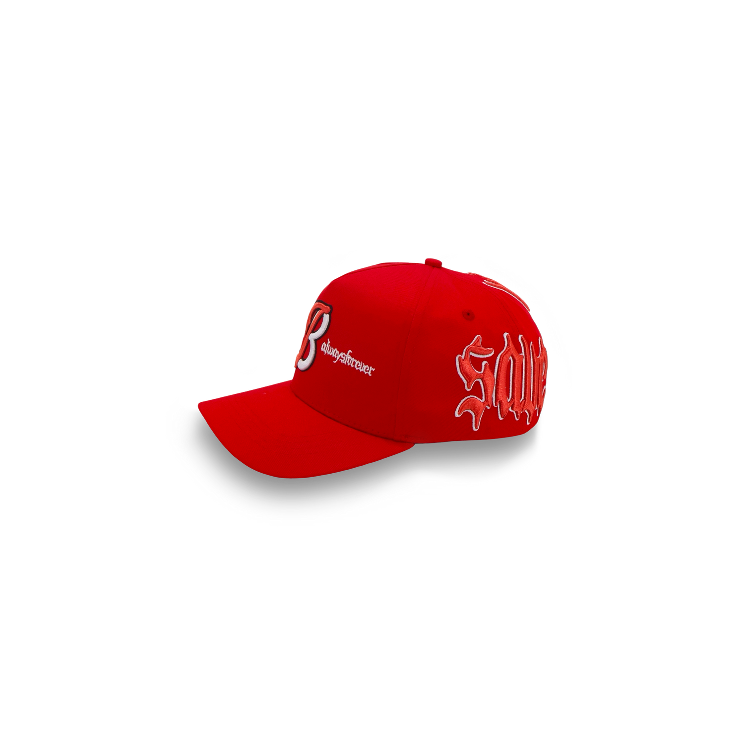 Save Us All Snapback (Scarlet)