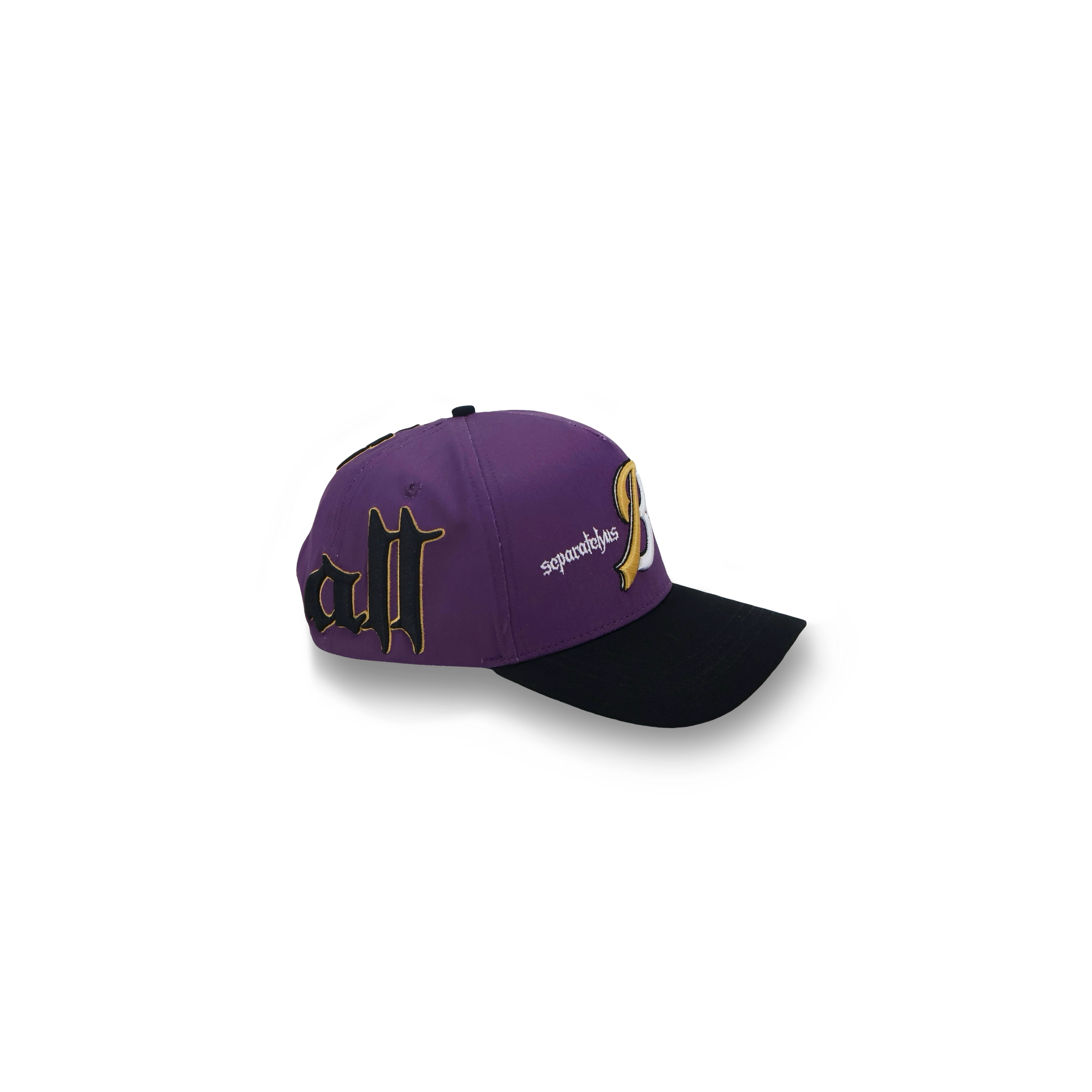 Save Us All Snapback (Raven)