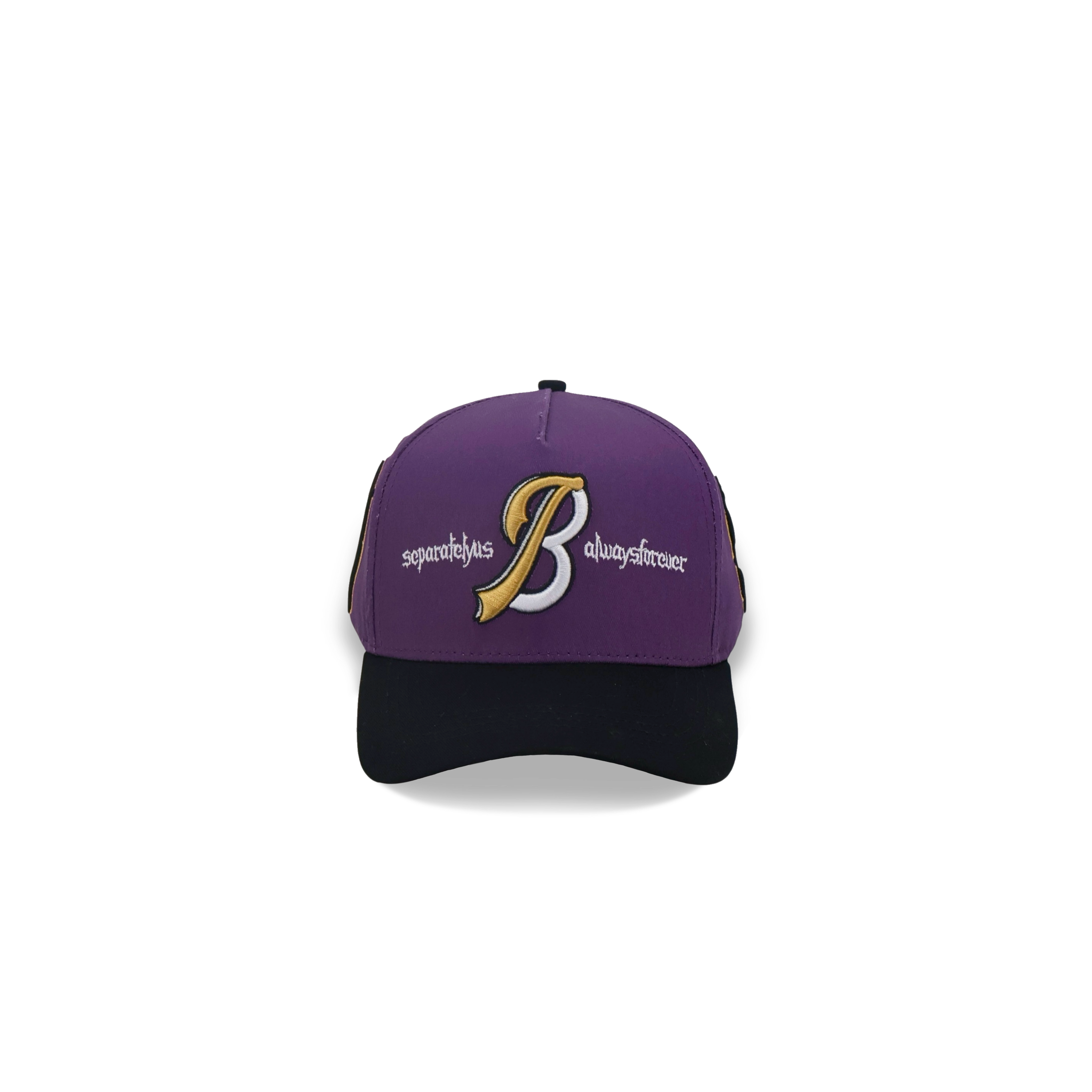 Save Us All Snapback (Raven)