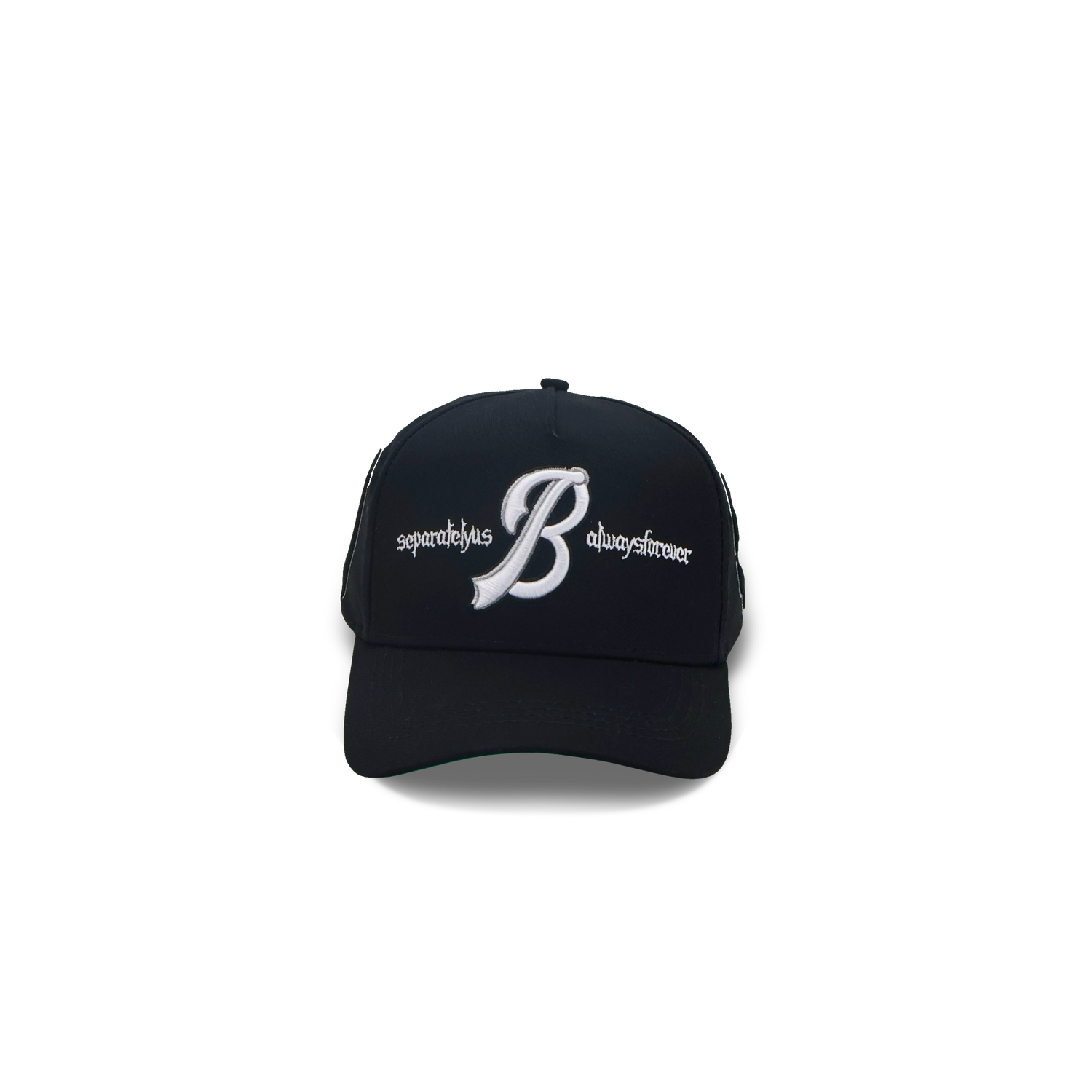 Save Us All Snapback (Onyx)