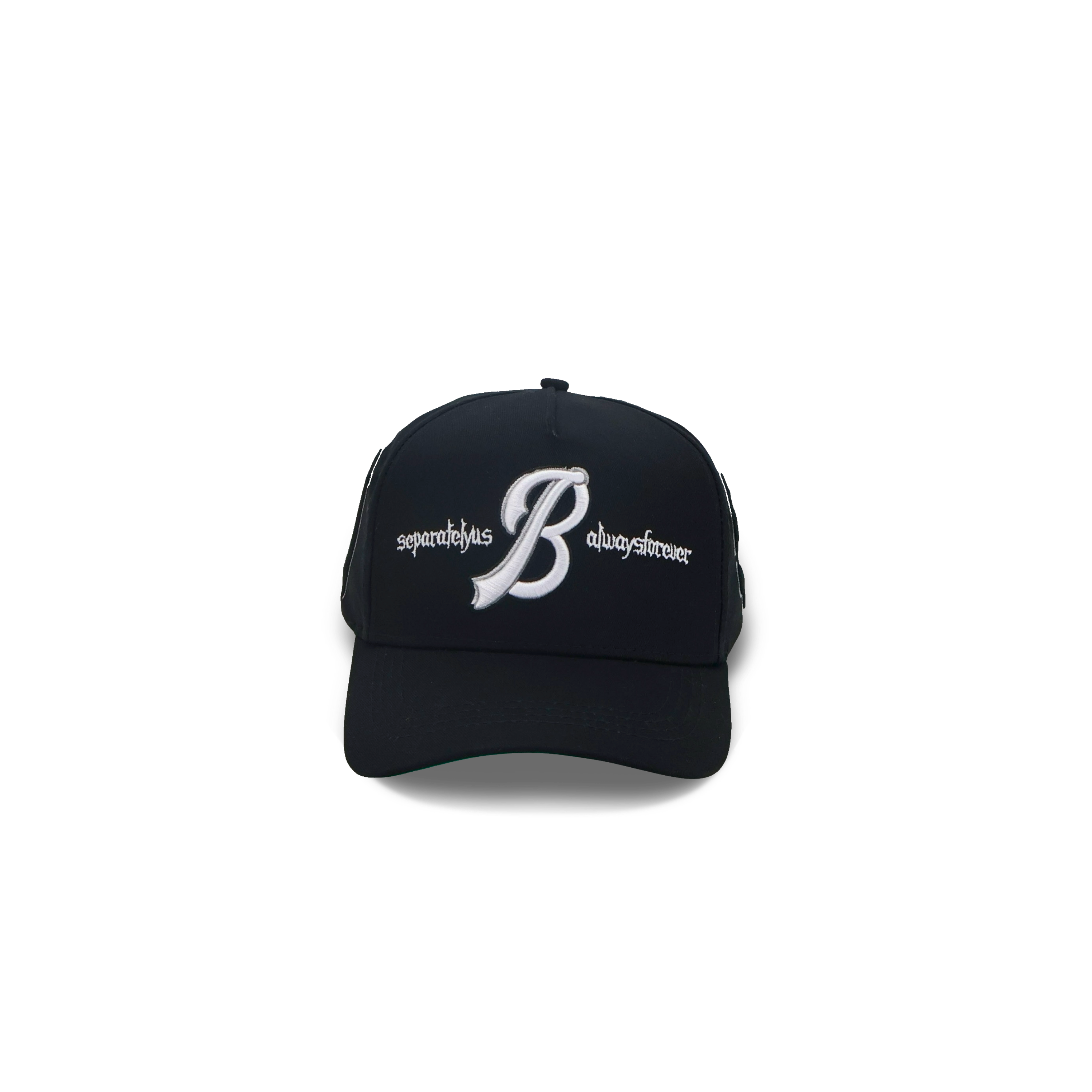 Save Us All Snapback (Onyx)