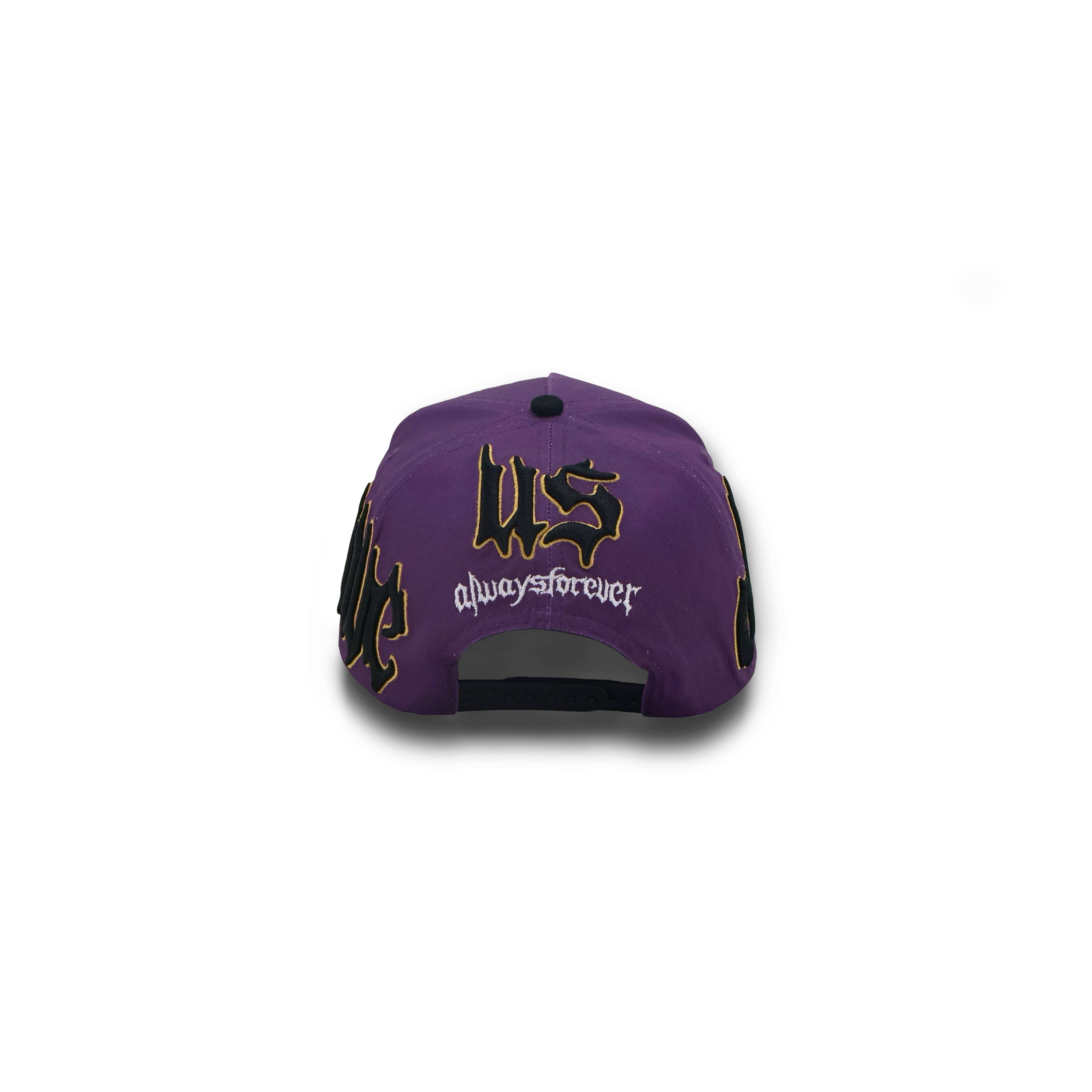 Save Us All Snapback (Raven)