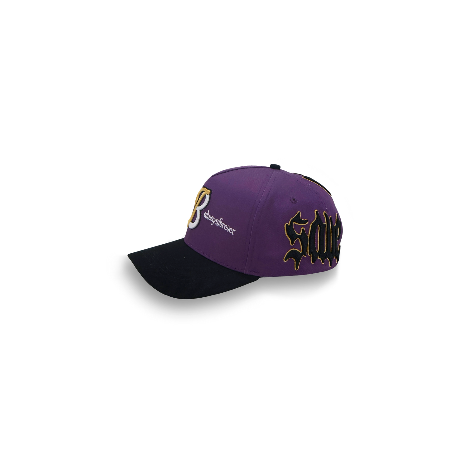 Save Us All Snapback (Raven)
