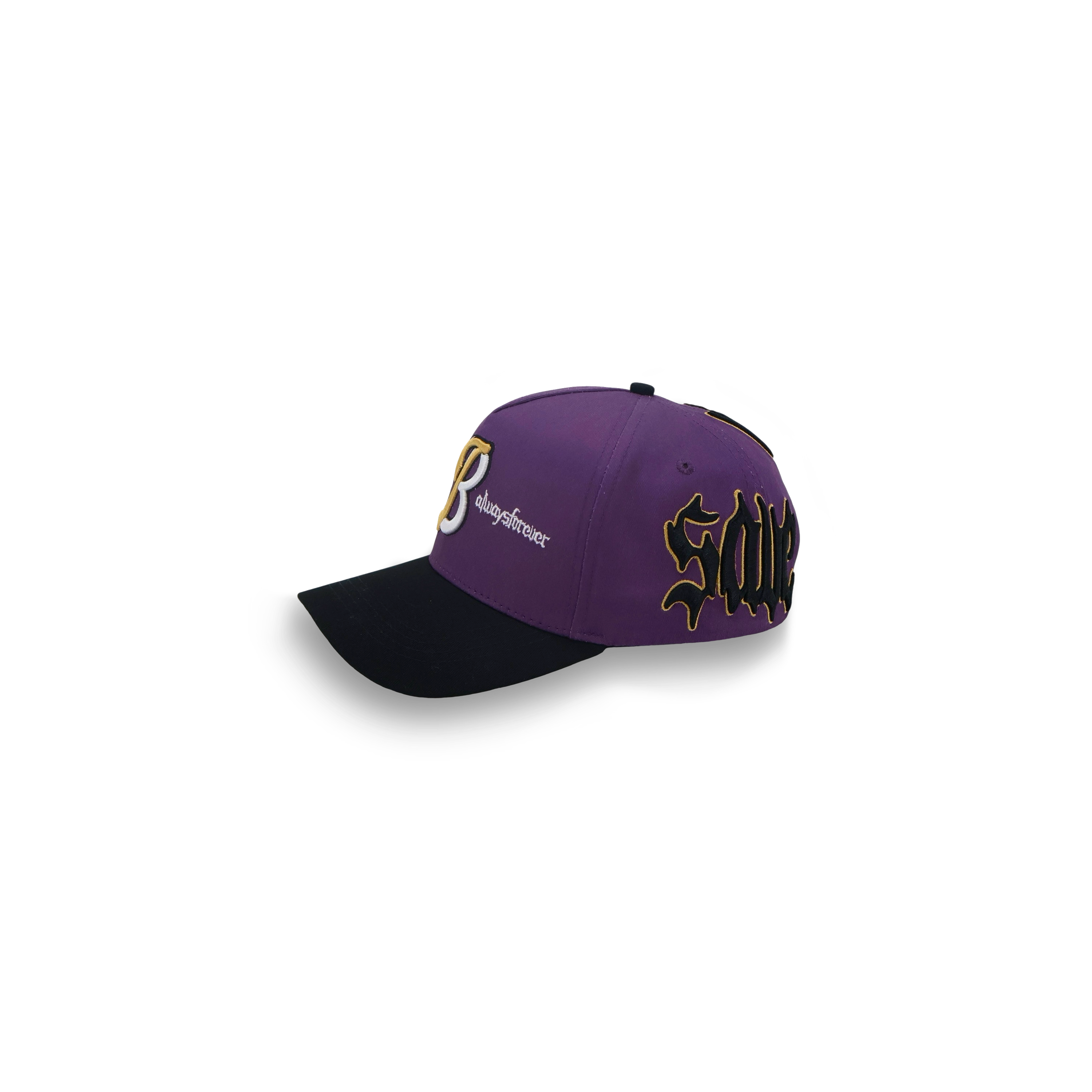 Save Us All Snapback (Raven)